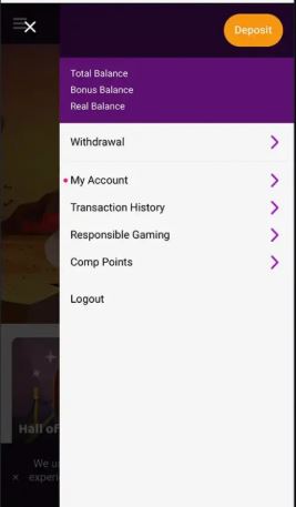 Manage Boo Casino account balance and make secure deposits on mobile
